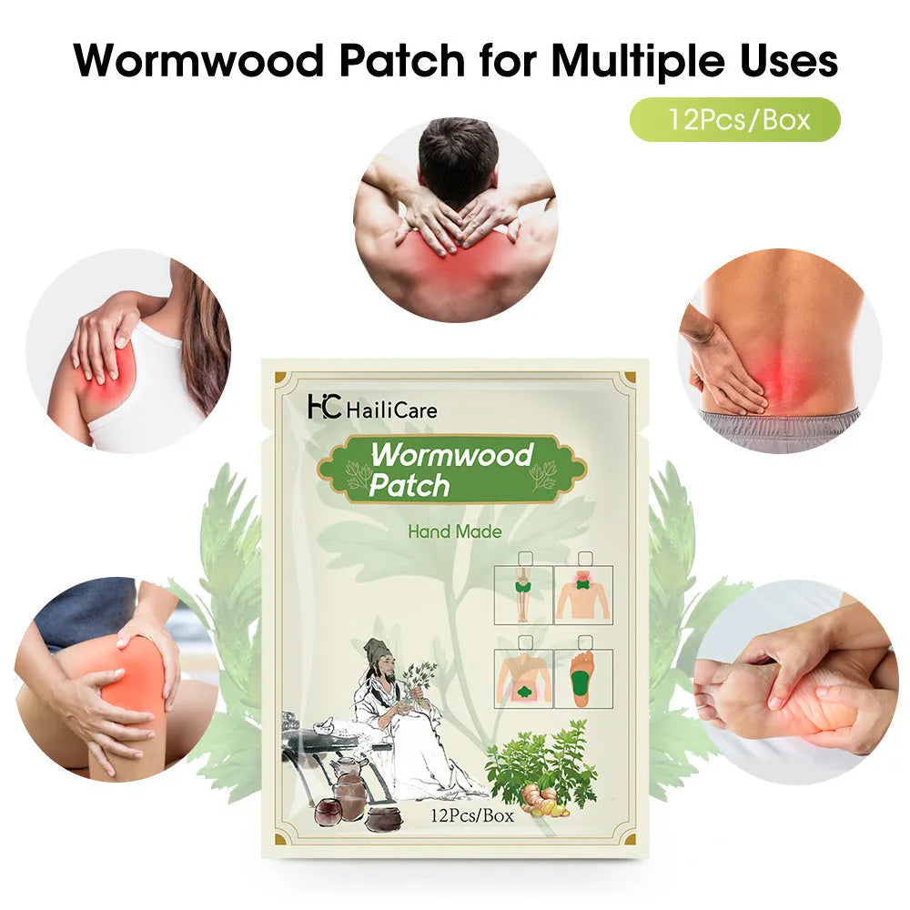 Chinese mugwort herbal patch collection showing knee, lumbar, cervical and foot patches with traditional herbal ingredients