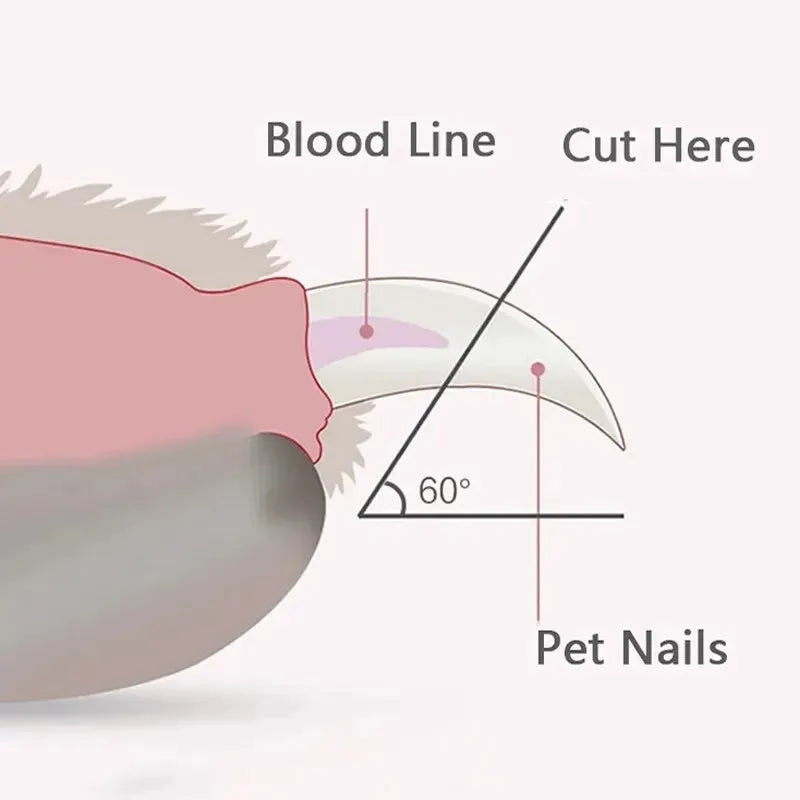 Blue pet nail clippers with LED light on, showing stainless steel blade and ergonomic handles for cat and dog grooming