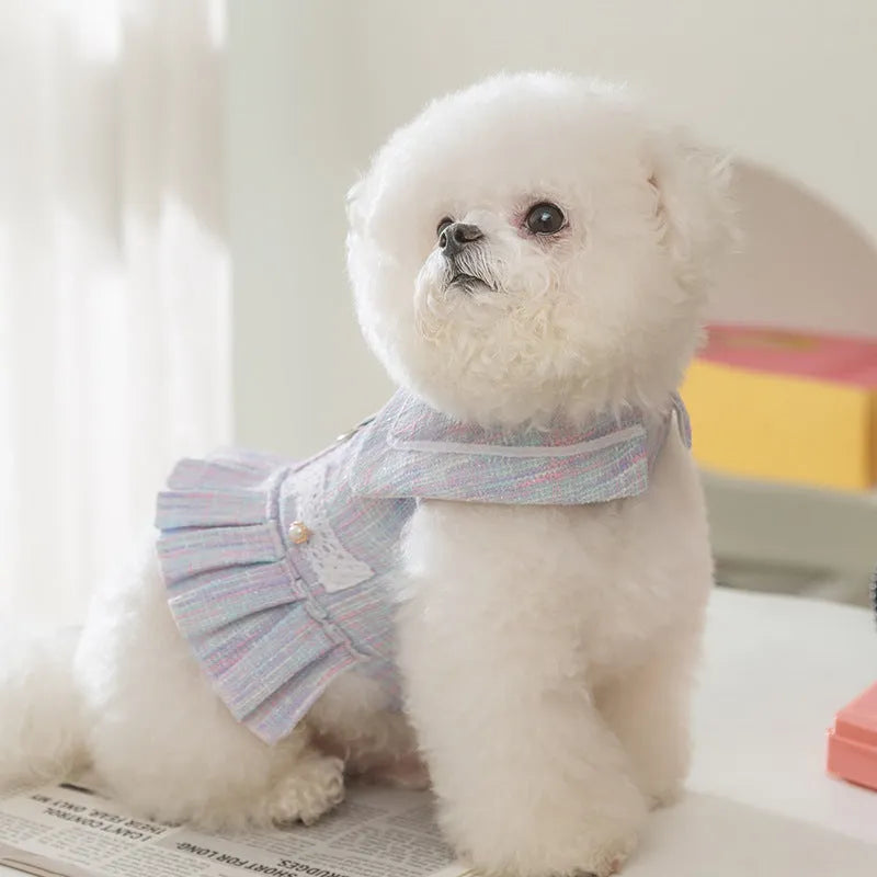 Polyester pet clothing for small dogs and cats in Salem purple and pink colours in S, M, L, XL sizes