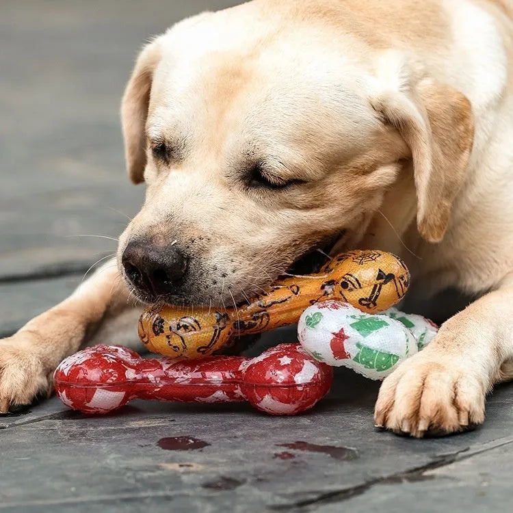 Orange Halloween pumpkin colour TPR bone dog toy with printed details and crinkle squeak sound
