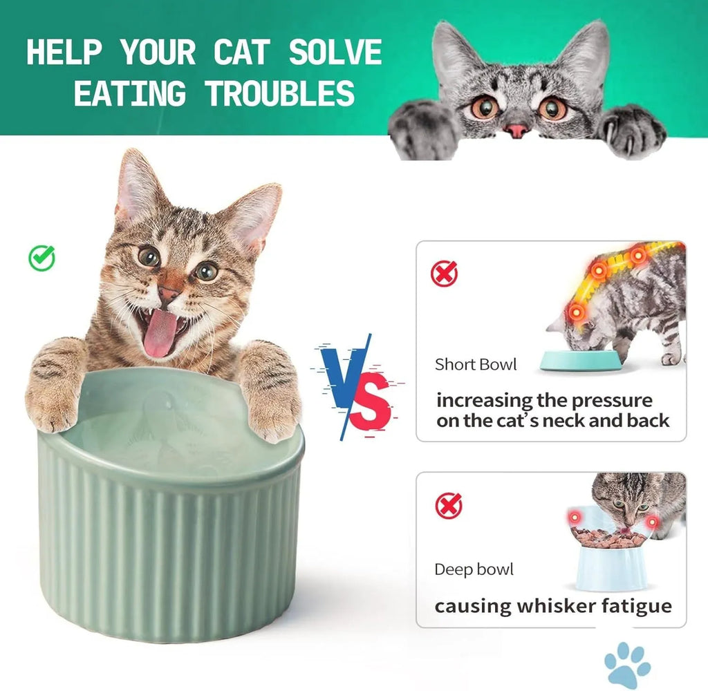 Ceramic elevated cat bowl in light green colour, showing its raised height and round, whisker-friendly shape.