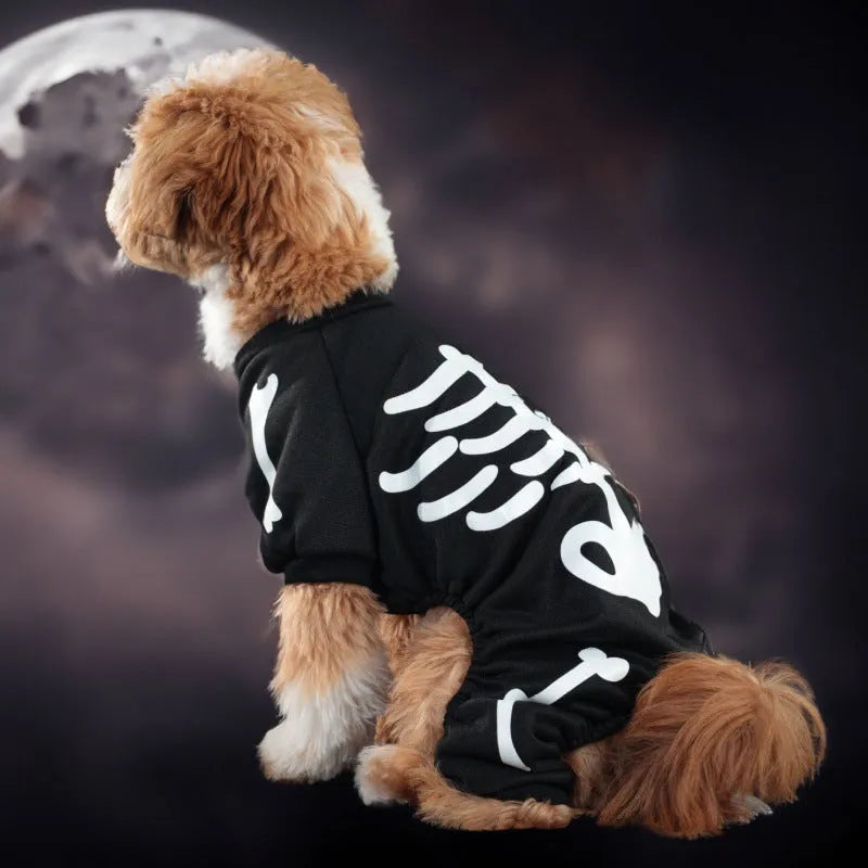 Halloween pet costume with luminous skeleton bones on dog showing four-legged design