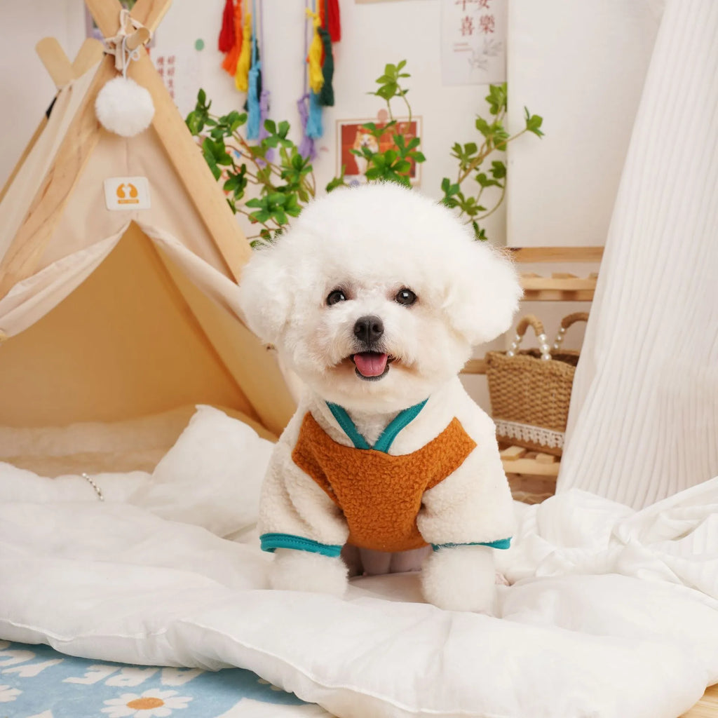 Lambswool pet sweatshirt in caramel colour with Berber fleece construction for dog or cat