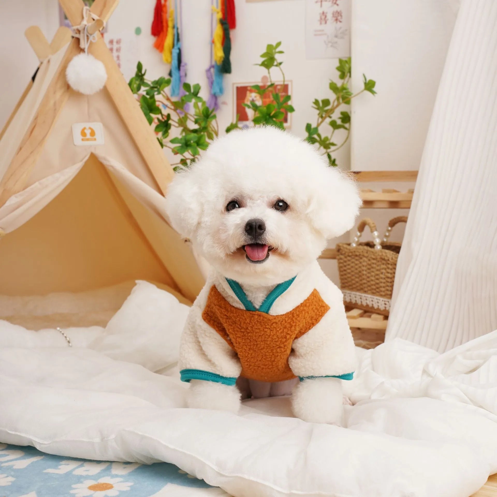Lambswool pet sweatshirt in caramel colour with Berber fleece construction for dog or cat