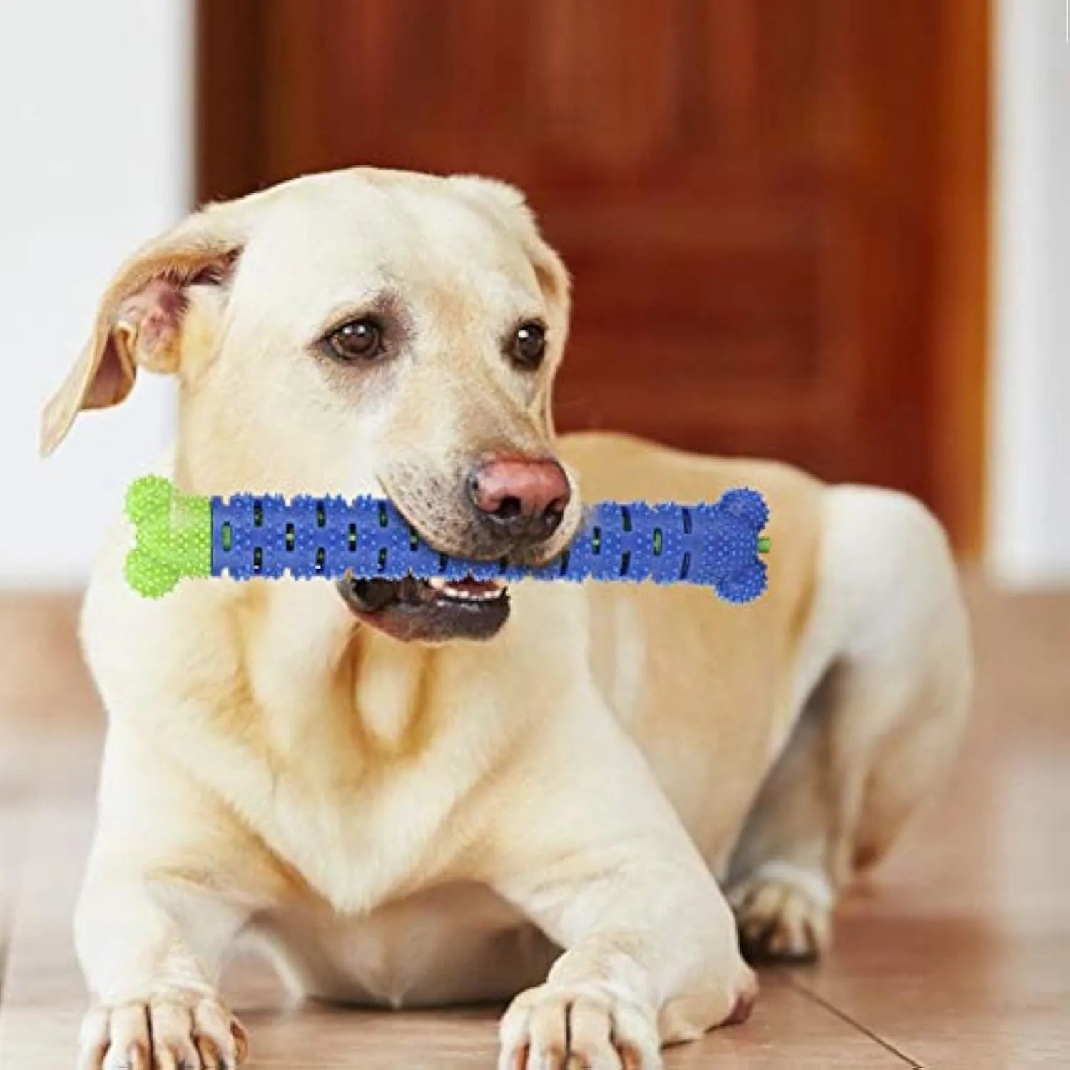 Blue green dog dental cleaning toy stick measuring 25 cm with silicone brush core and massage nodules