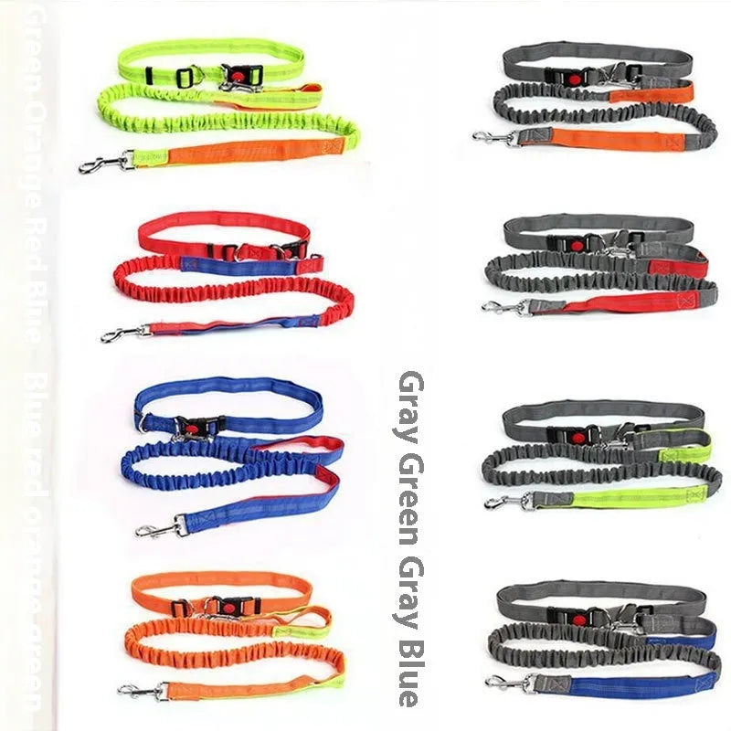 Grey and blue reflective elastic dog leash with nylon construction shown outdoors.