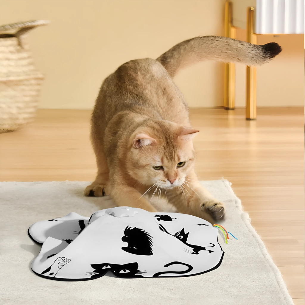Coloured plastic self-grooming cat teaser toy with a rotating ball for interactive play.