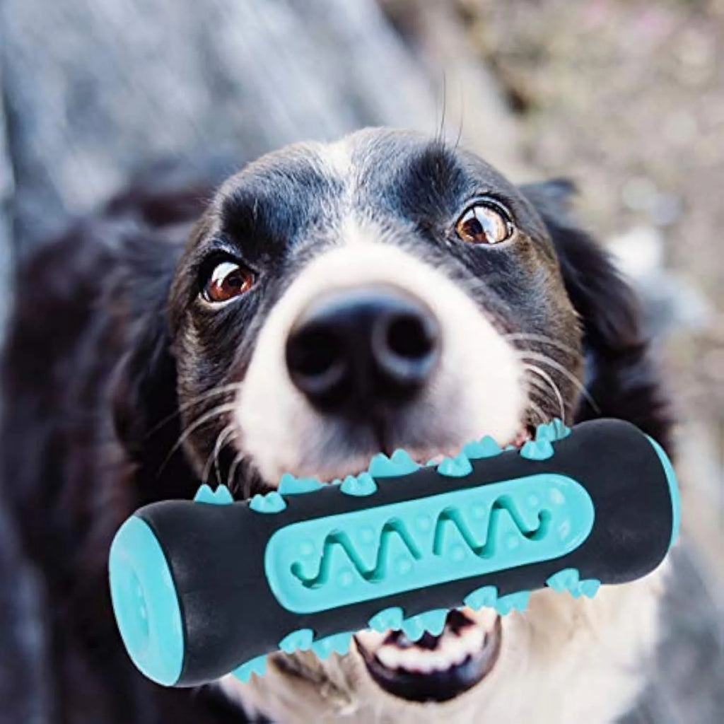 Natural rubber dog dental chew toy in blue colour for teeth cleaning, measuring 15 cm