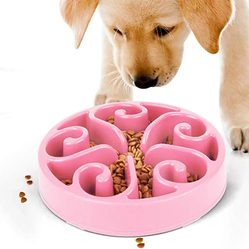 A coloured slow feeder dog bowl with a maze pattern inside and a wide non-slip base.