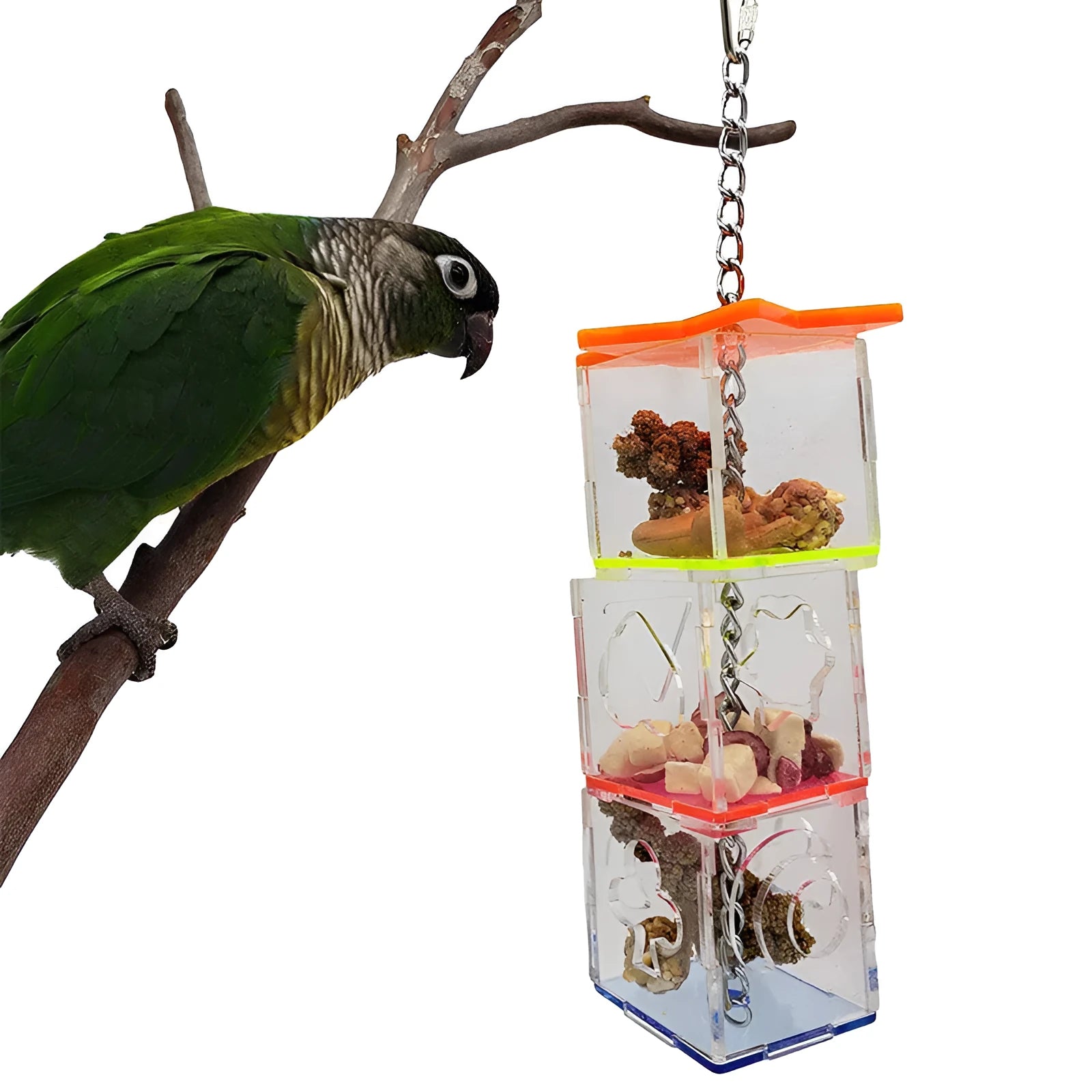 Clear acrylic bird foraging device measuring 5x5x32cm for parrot enrichment