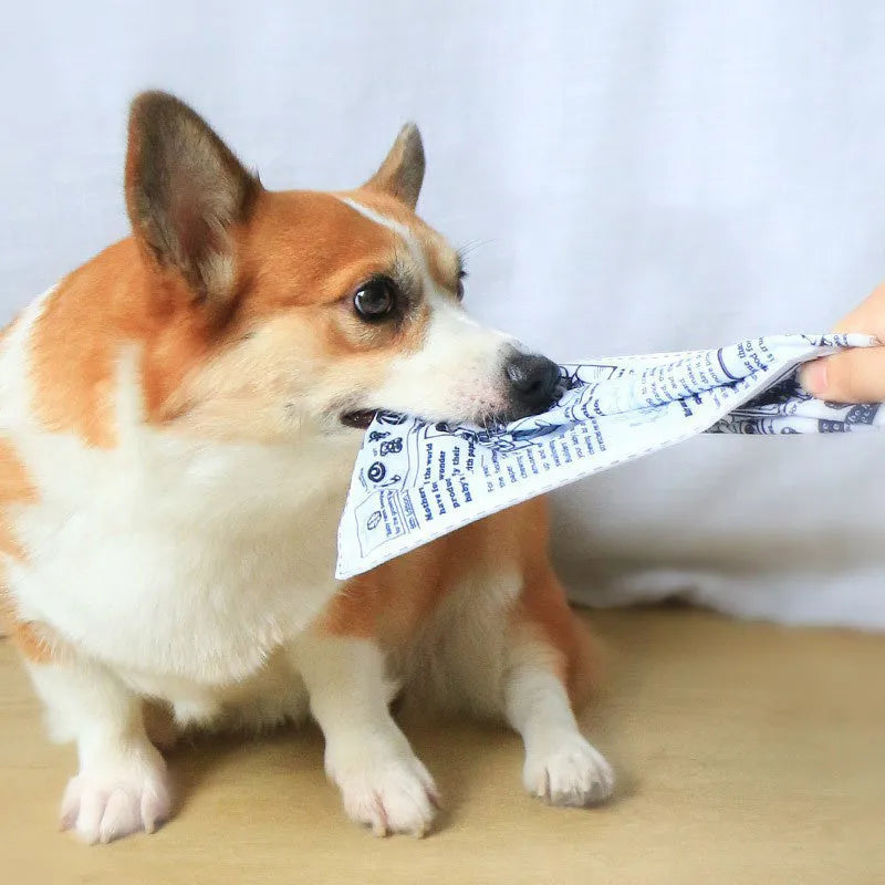 Tearproof rubber dog toy with playing card designs J, K, Q and newspaper motif with squeaking sound feature