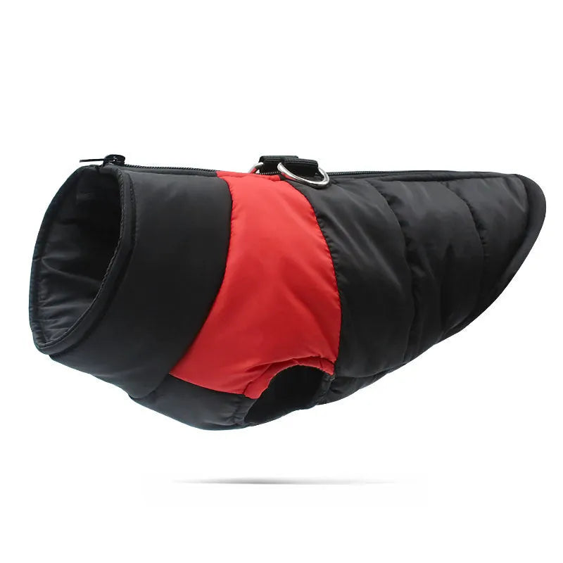 Waterproof padded dog winter jacket with zipper closure in various colours and sizes
