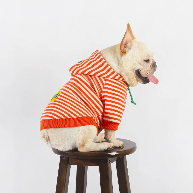 Orange cotton hooded dog sweater on a mannequin, showing Japanese Korean style.