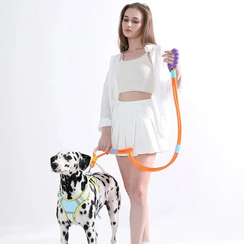 Nylon dog traction lead with foam handle in four colour options