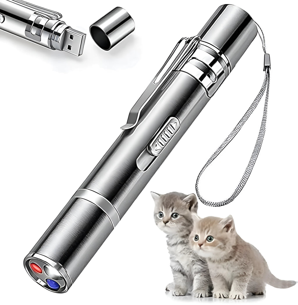 Silver aluminum alloy cat laser pointer toy with multiple light patterns