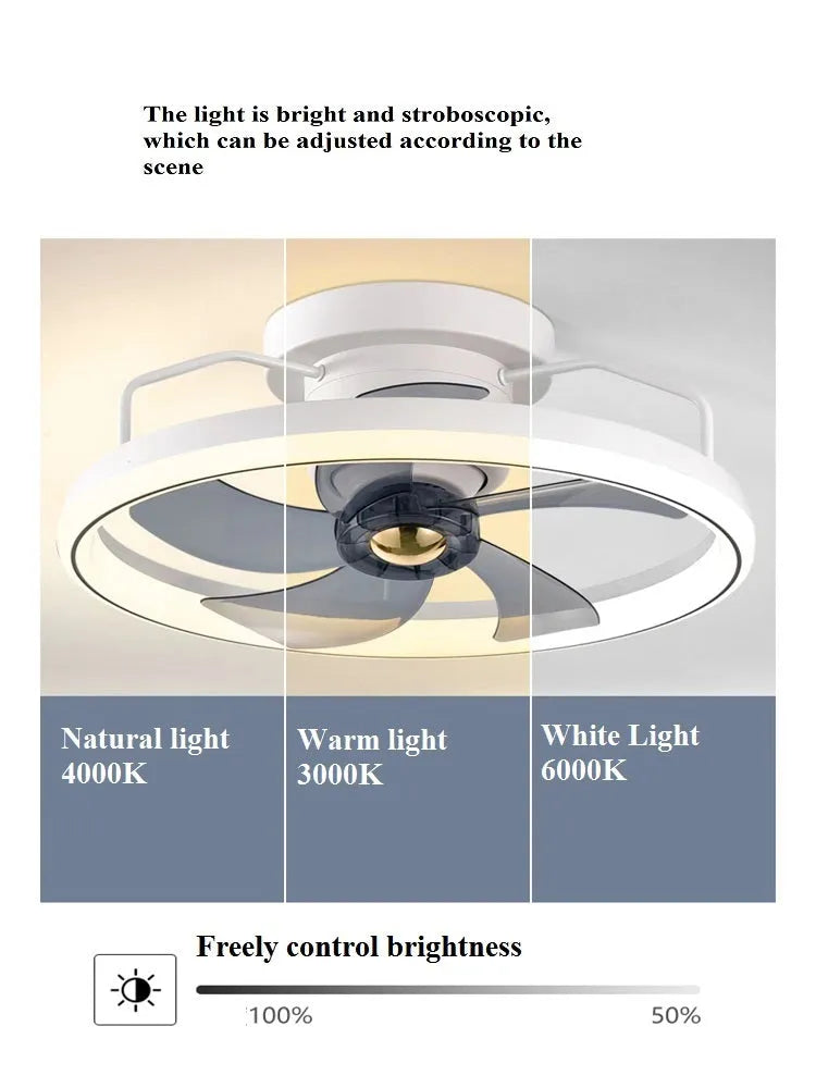 Modern overhead ceiling fan with integrated light showing 500mm diameter design with PC blades and acrylic lampshade