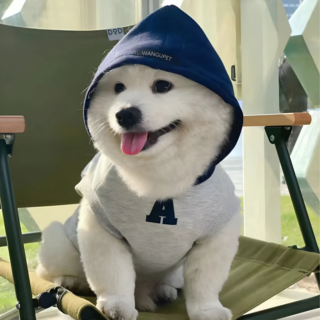 Blue and grey-white slim-fitting pet hoodie with reflective letters for cats and dogs