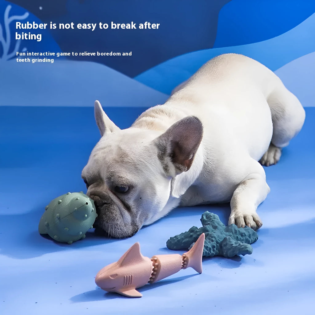 Deep sea shark design rubber dog toy shown in conch blue, conch green, starfish blue, and starfish green colour variations.