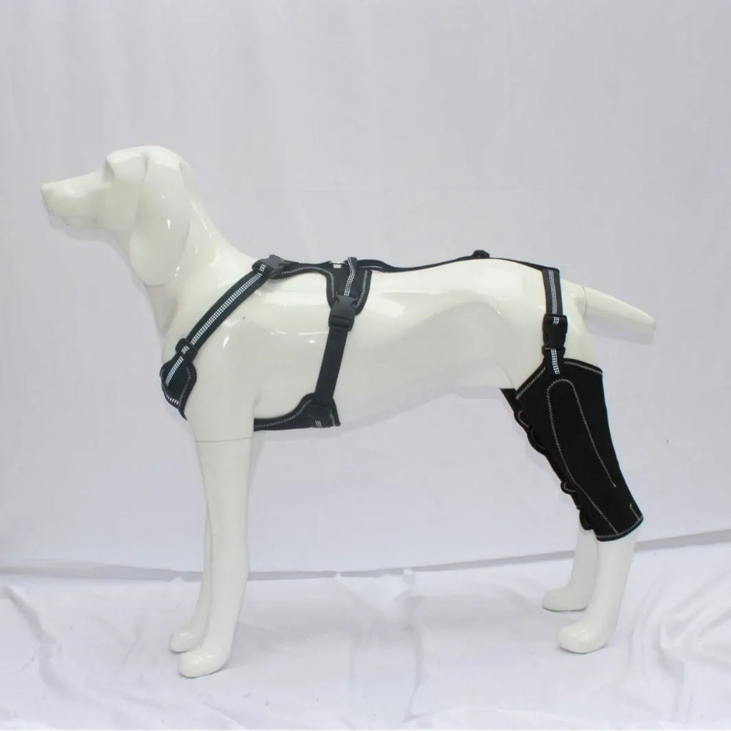 Black dog thigh protective sleeve with adjustable metal support and hook and loop fasteners