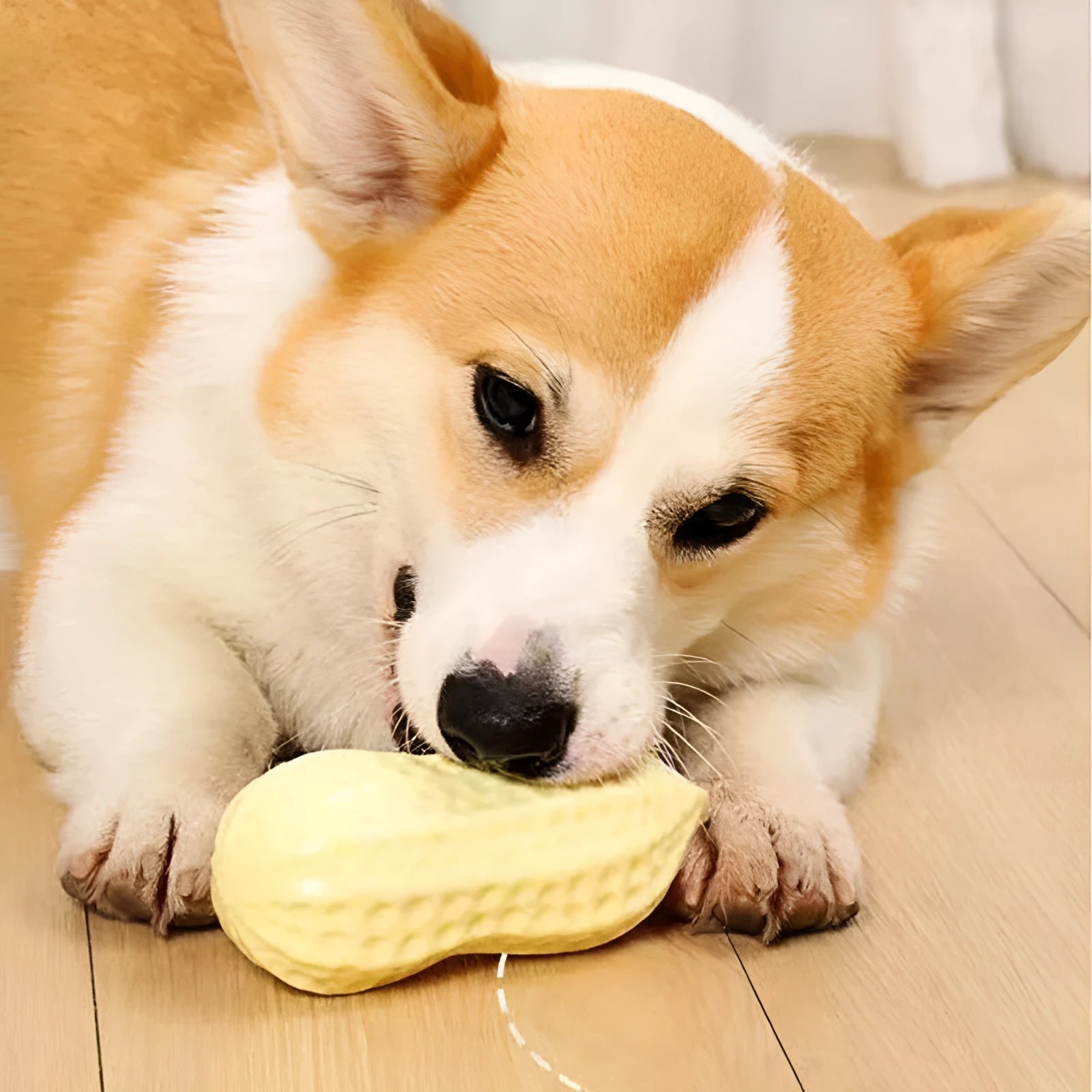 Yellow peanut-shaped dog chew toy with TPR rubber construction measuring 12x5.6cm