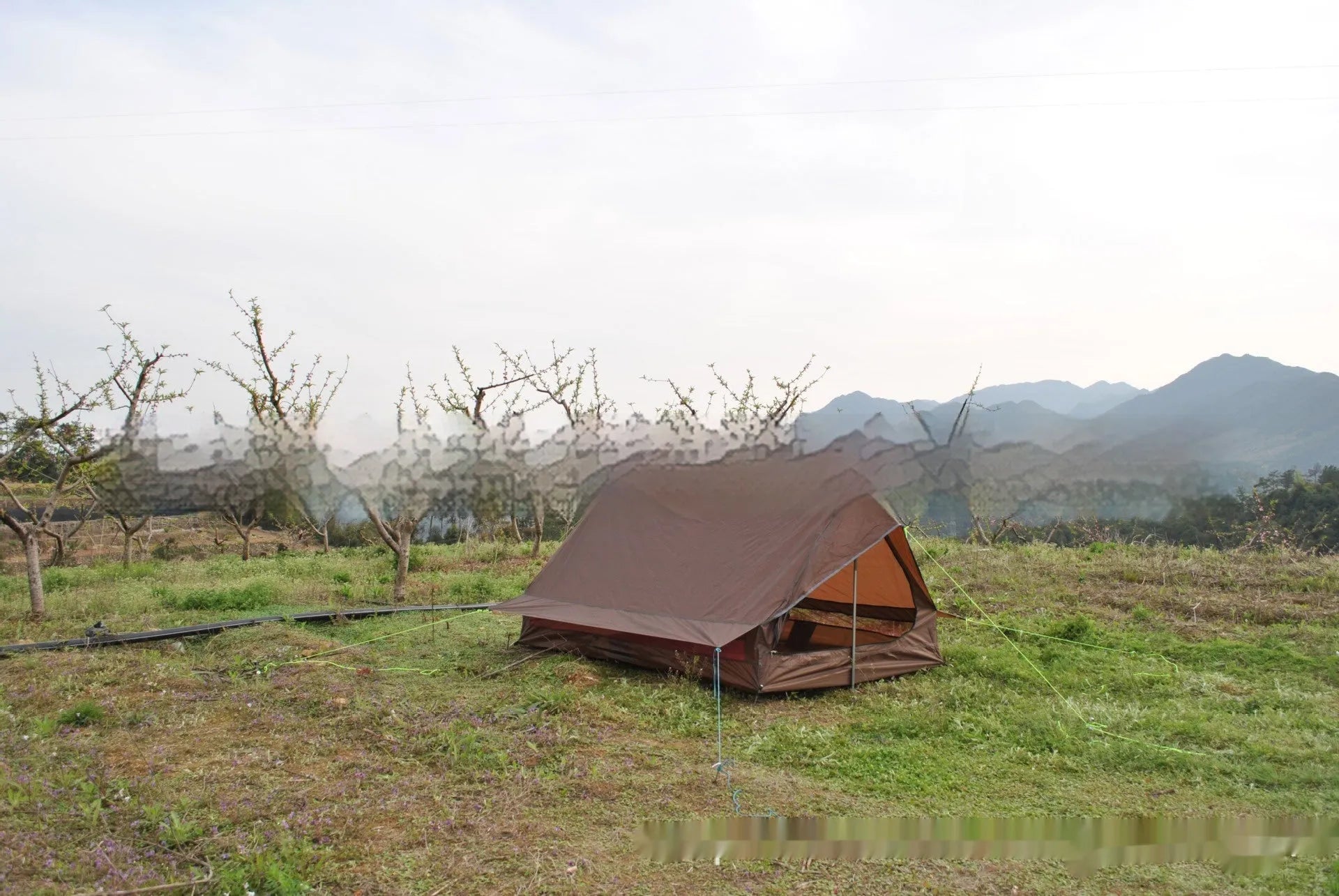 Brown A-line hiking tent erected with hiking poles showing spacious interior for 2-3 people