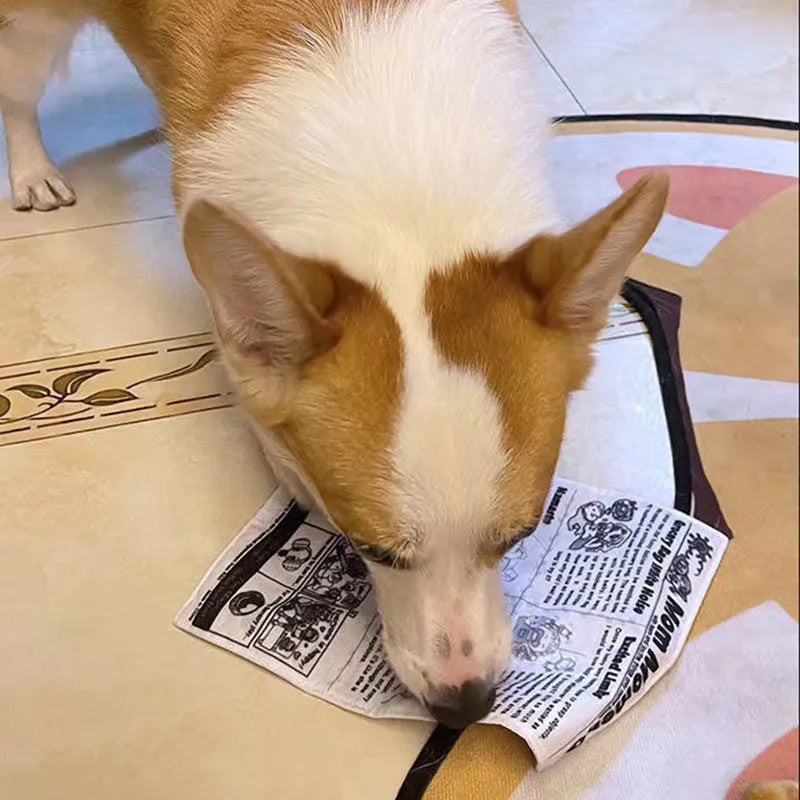 Tearproof rubber dog toy with playing card designs J, K, Q and newspaper motif with squeaking sound feature