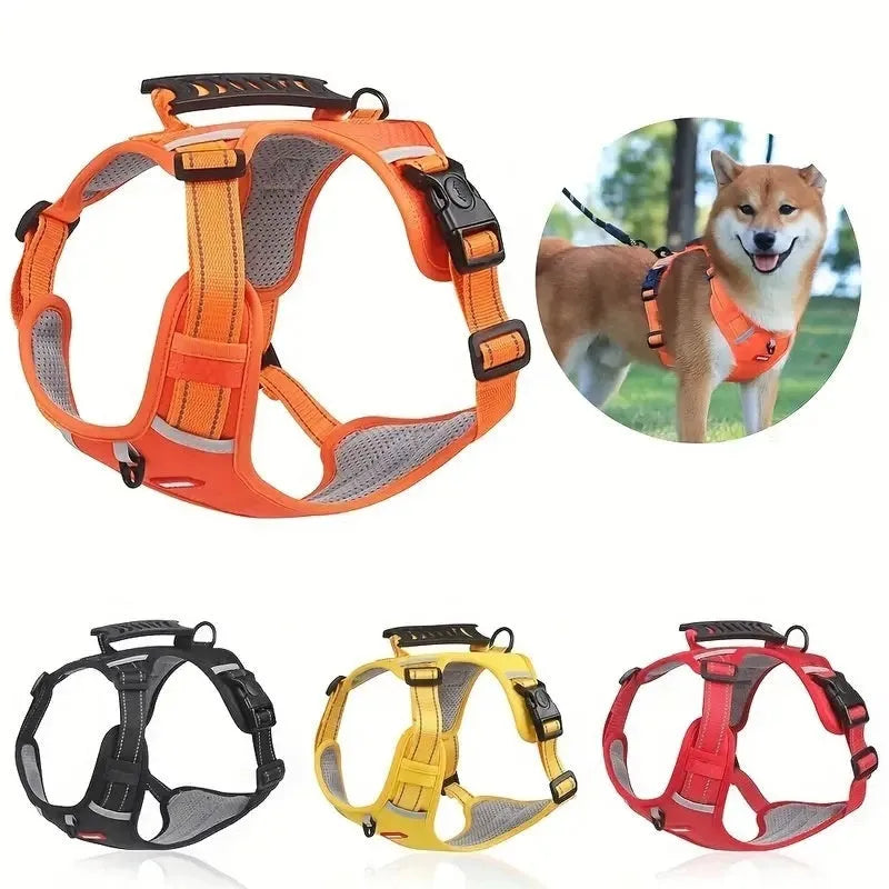 A dog wearing a blue adjustable chest harness with an attached lead, shown in a size large.