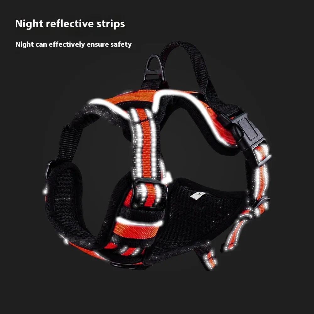 Adjustable Oxford cloth dog harness with a control handle on the strap, shown in a choice of colours.