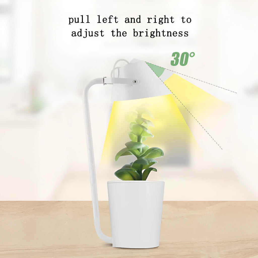 White desktop hydroponic container for soilless plant cultivation