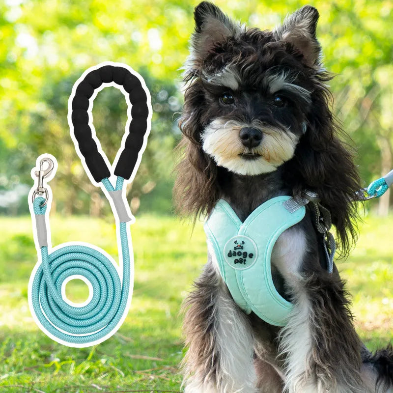 Blue polyester dog vest and matching hand-holding rope set on a white background.