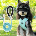 Blue polyester dog vest and matching hand-holding rope set on a white background.