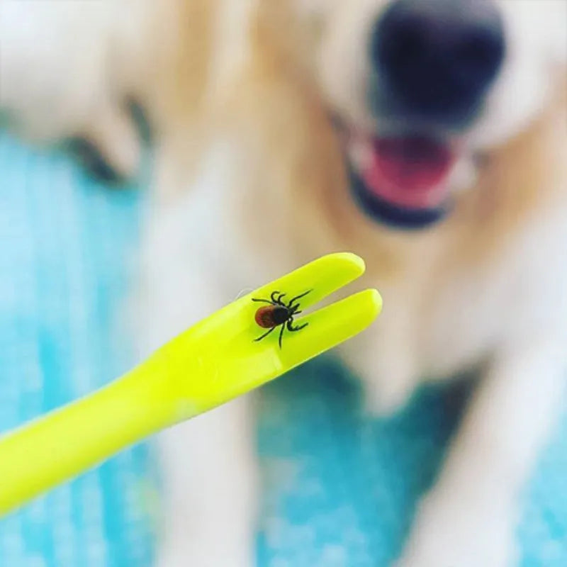 Three plastic hook tools for removing ticks from dogs and cats, in blue and green colours.
