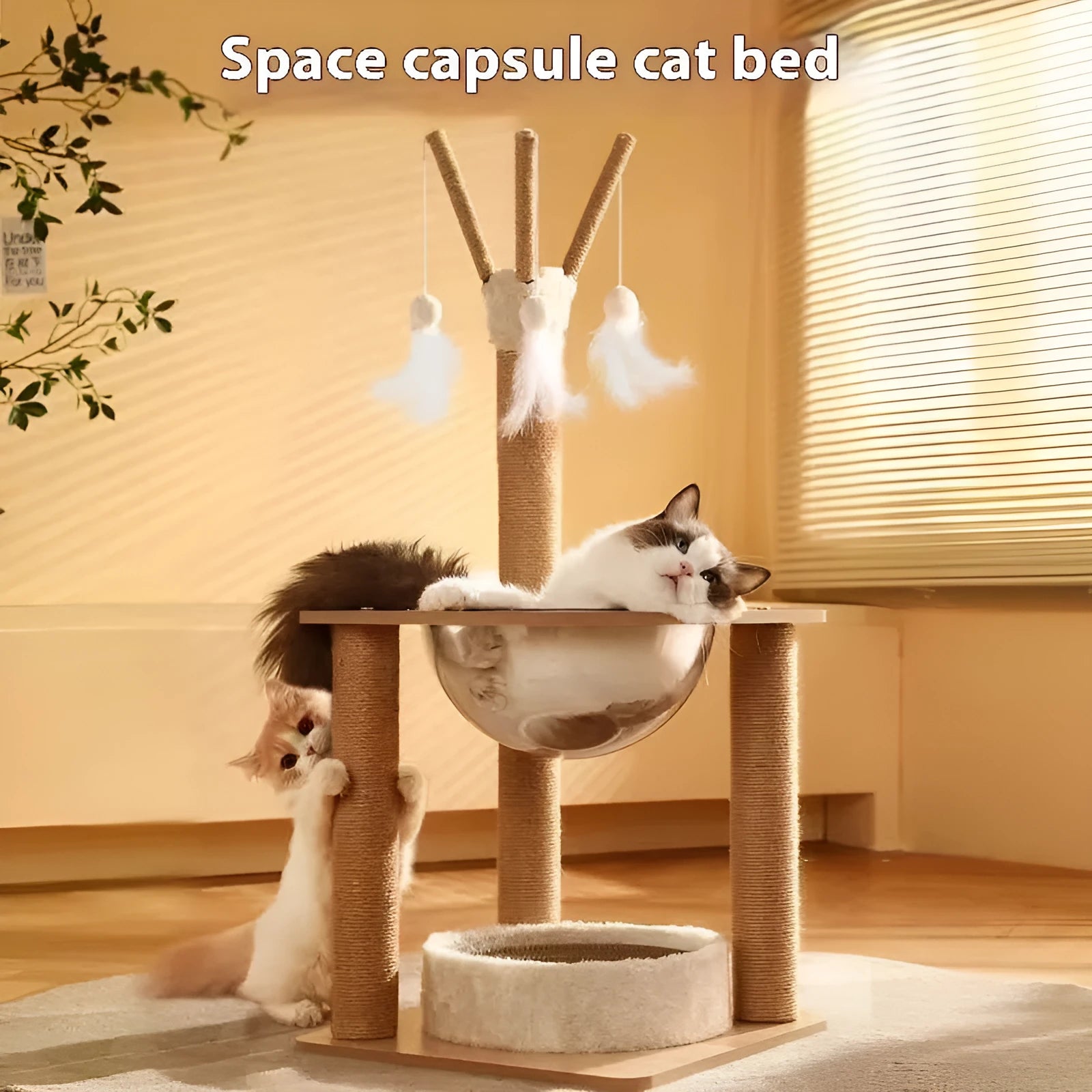 Wooden cat climbing frame with space capsule hideaway in wood colour finish