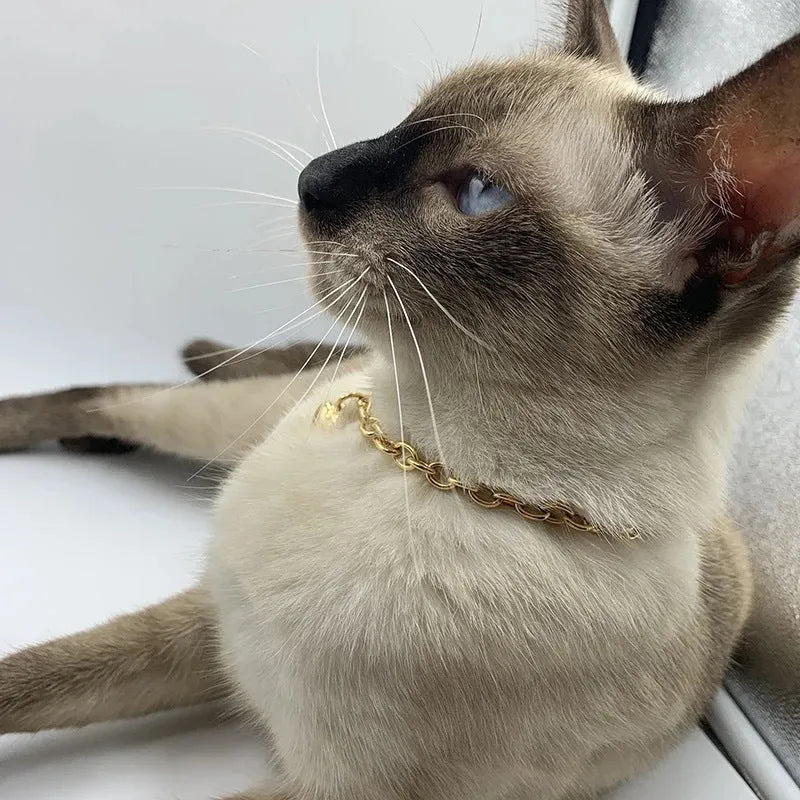 Stainless steel necklace with love heart pendant and cat dog charm in gold or silver finish