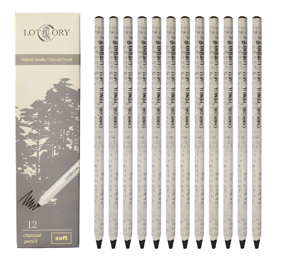 Professional drawing charcoal set showing multiple pencil grades from 4H to 14B with specialist soft carbon tools