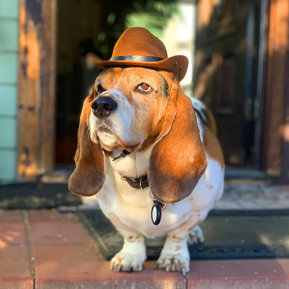 Adjustable pet dog cowboy hat in brown colour with rounded brim design