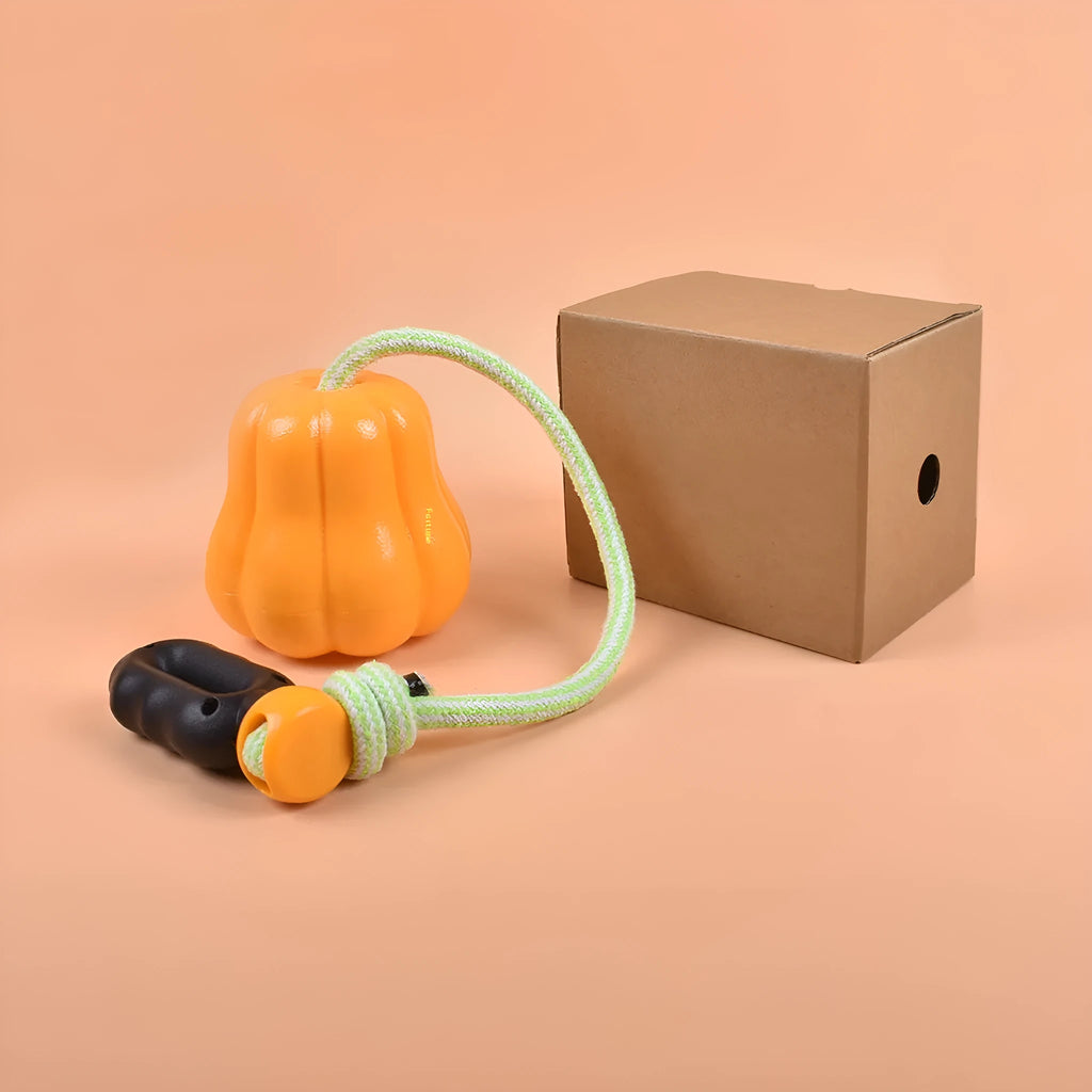 Orange Bite Molar plastic dog chew bone toy with an attached rope handle on grass.