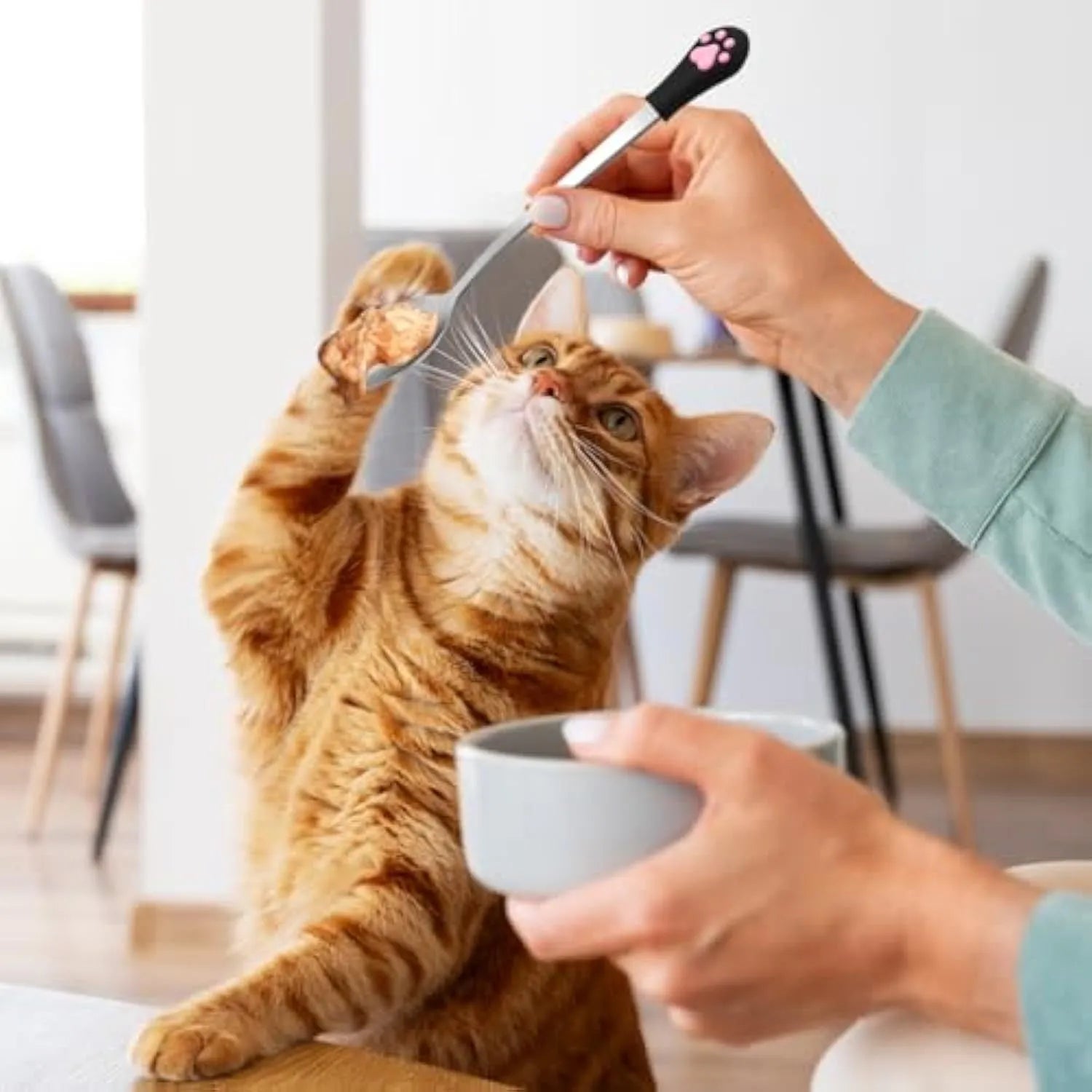 White and black pet food spoons with cat paw design and silicone handles