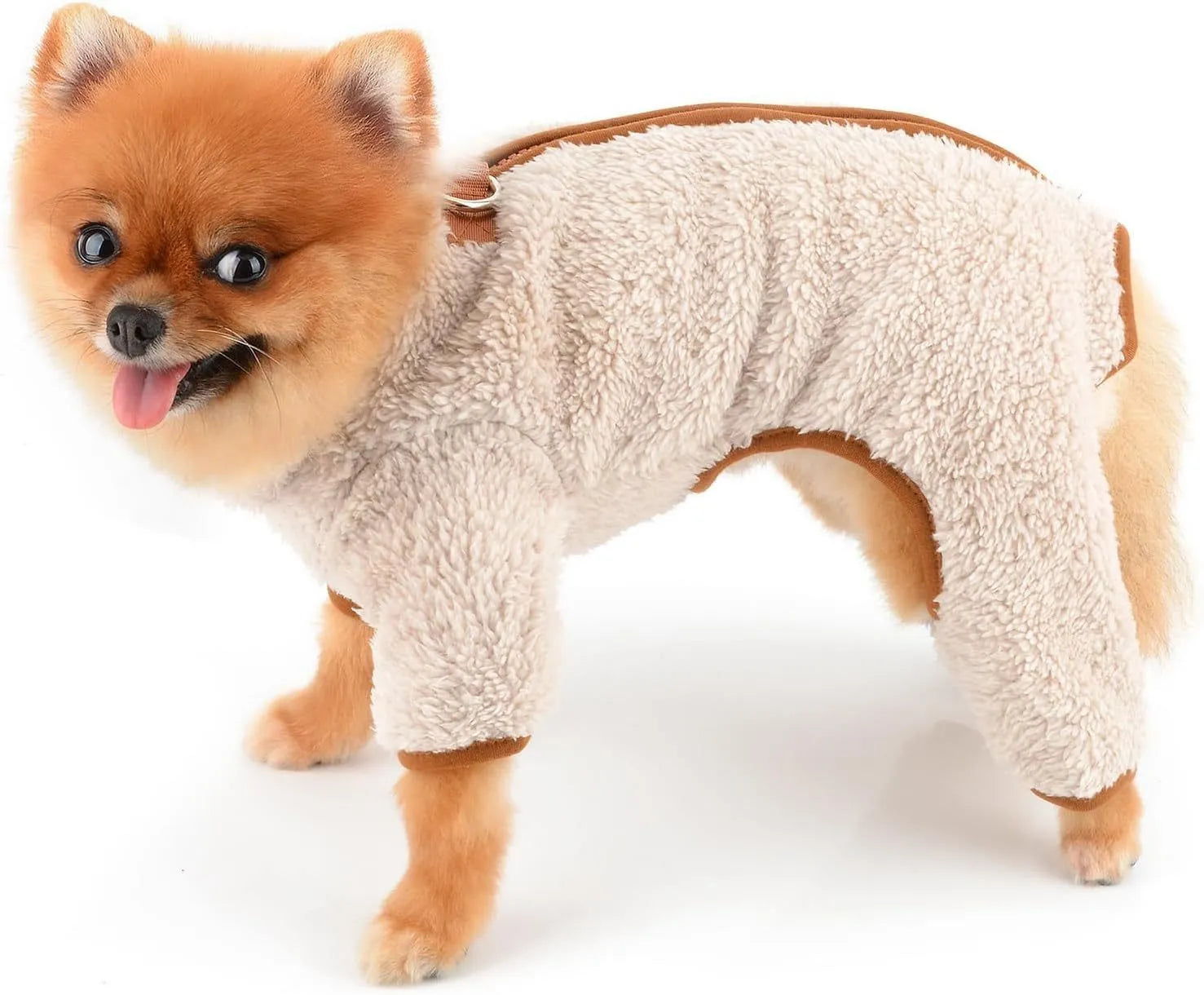 Green fleece dog coat with back zipper and D-rings on small dog