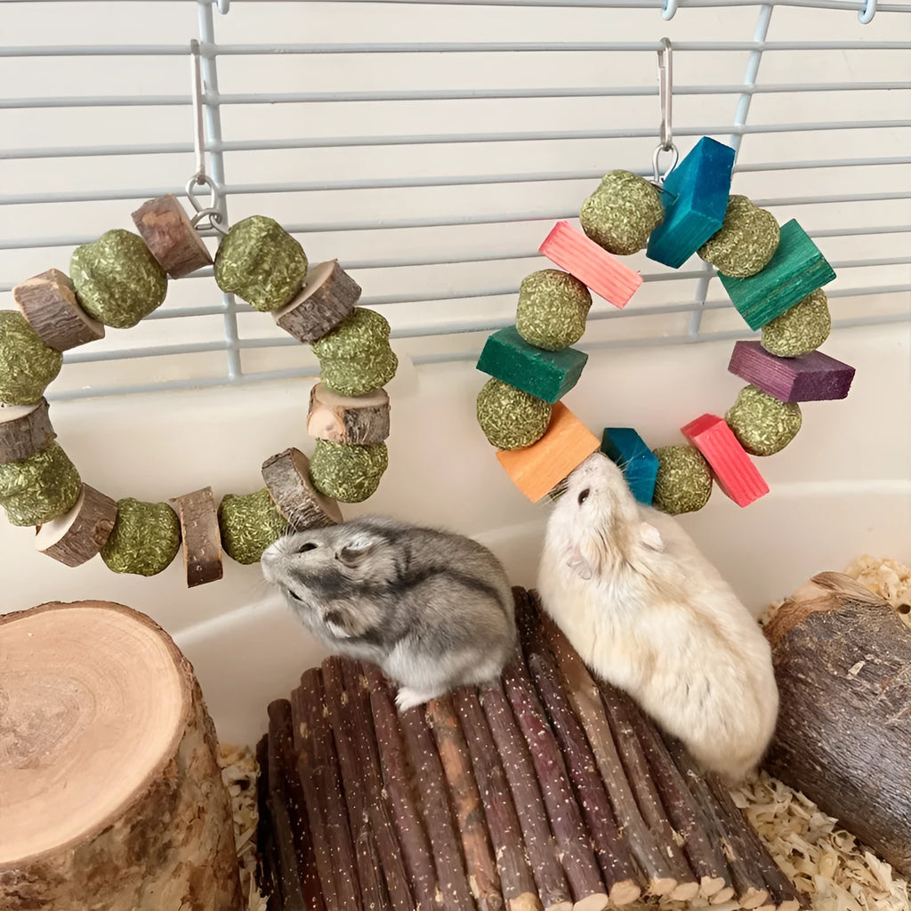 Hamster chew toy with decorative ring and straw ball for guinea pigs and rabbits