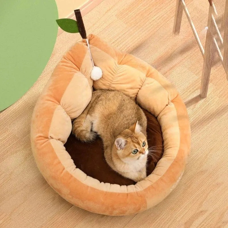 Oval pet bed with cotton cover and raised sides in coffee colour, shown with small cat