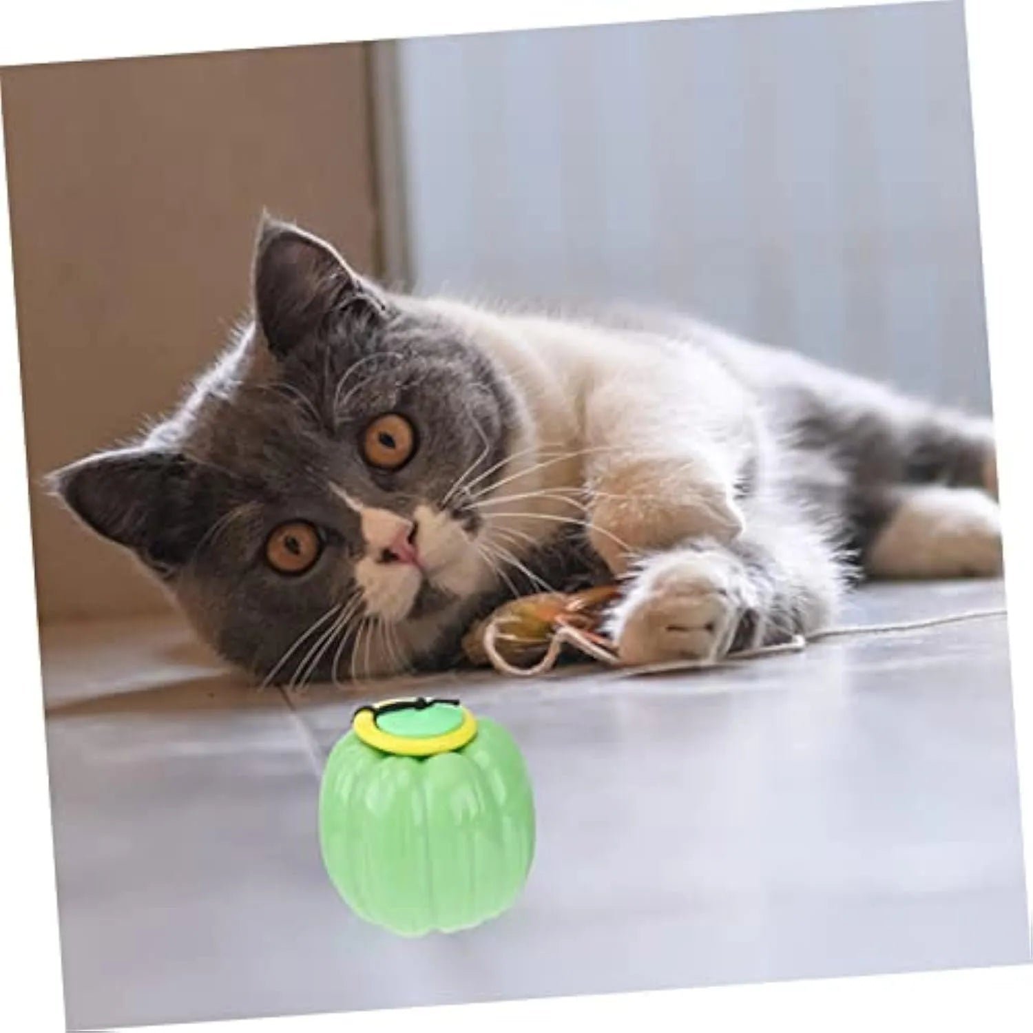 Small green plastic dog ball with pumpkin design for chew toy and training