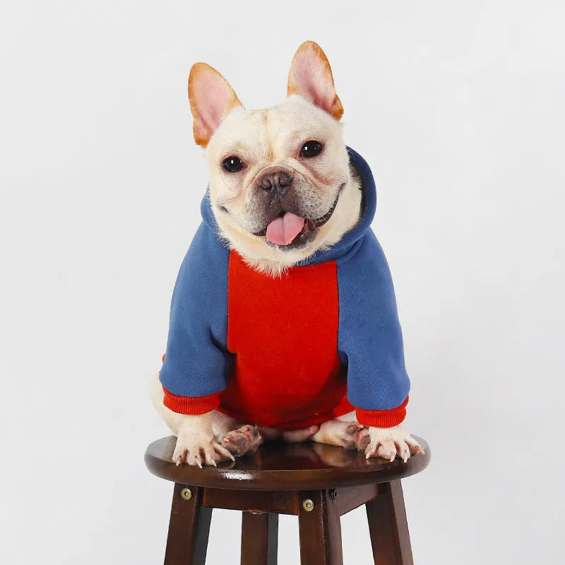 Red cotton dog jumper for small and medium breeds like Teddy, Bichon, and Corgi on a white background.
