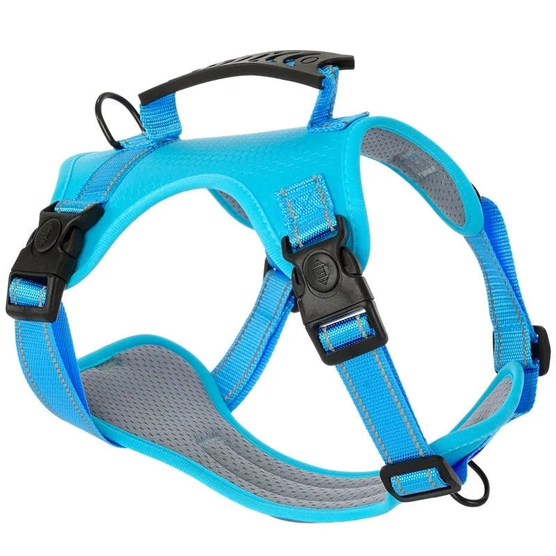 A dog wearing a blue adjustable chest harness with an attached lead, shown in a size large.