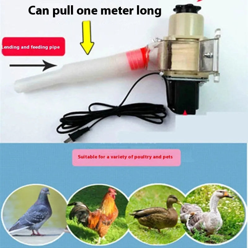 Solar-powered automatic chicken and duck feeding machine with watertight timer unit for animal enclosures