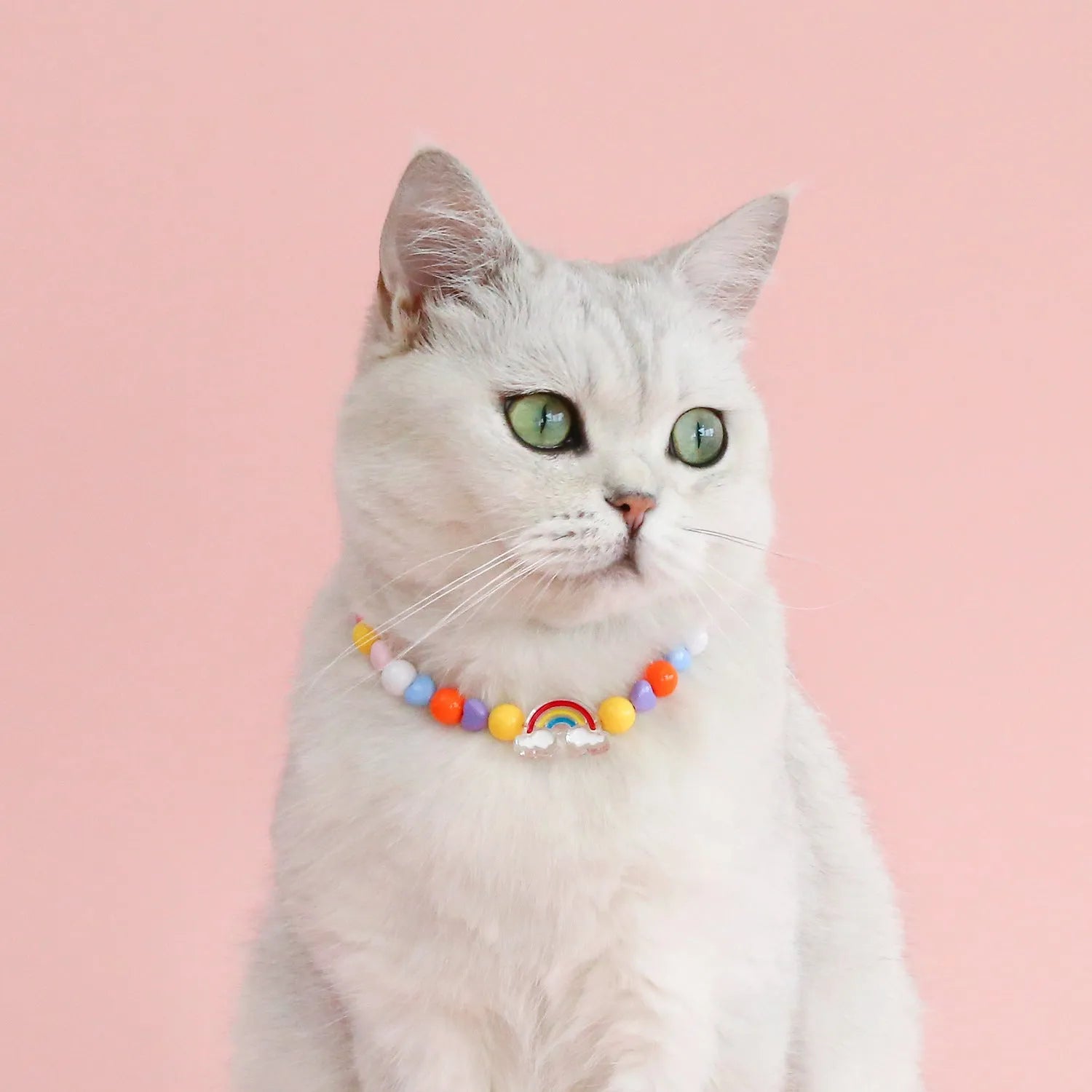 Colourful plastic cat necklace with bead patterns in rainbow, peach or small flower designs on adjustable 15-35cm collar
