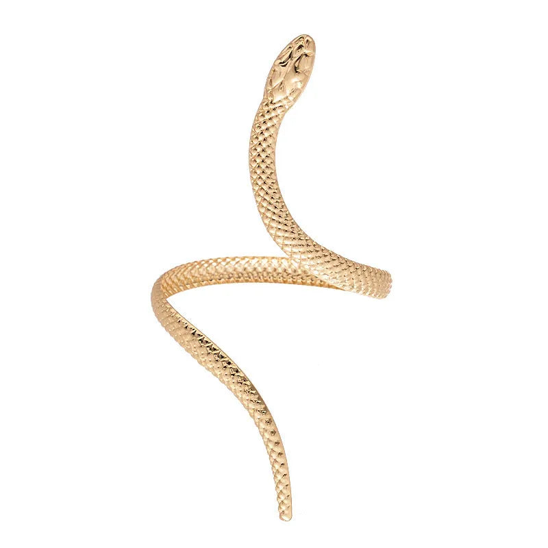 Exaggerated twisted winding snake simulation metal ring and bracelet 2-piece jewellery set