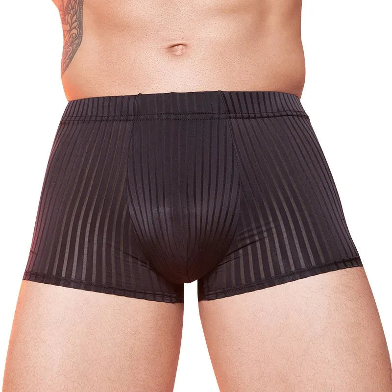 Men's striped transparent boxer briefs in black, white, and dark grey on a plain background.