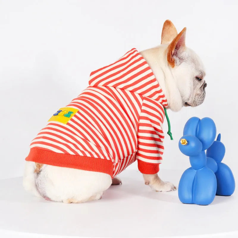 Orange cotton hooded dog sweater on a mannequin, showing Japanese Korean style.