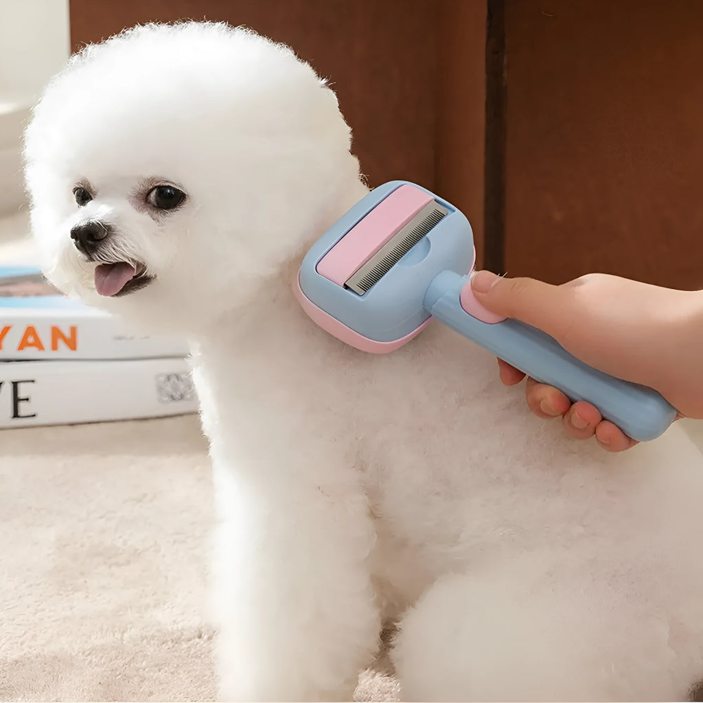 Blue and green dual-sided pet grooming brush with a deshedding rake and dematting comb.